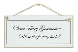 Dear Fairy Godmother...