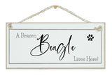 A.....dog breed, lives here signs