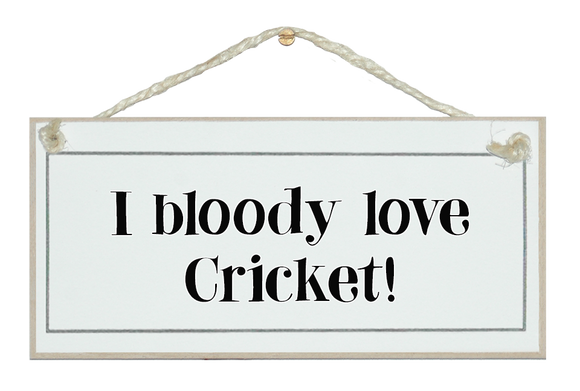 I bloody love cricket