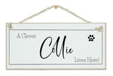 A.....dog breed, lives here signs