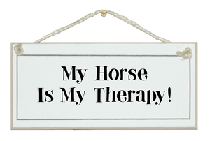My horse is my therapy