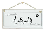 A.....dog breed, lives here signs