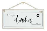 A.....dog breed, lives here signs