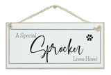 A.....dog breed, lives here signs