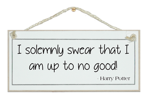 ...up to no good. Harry Potter